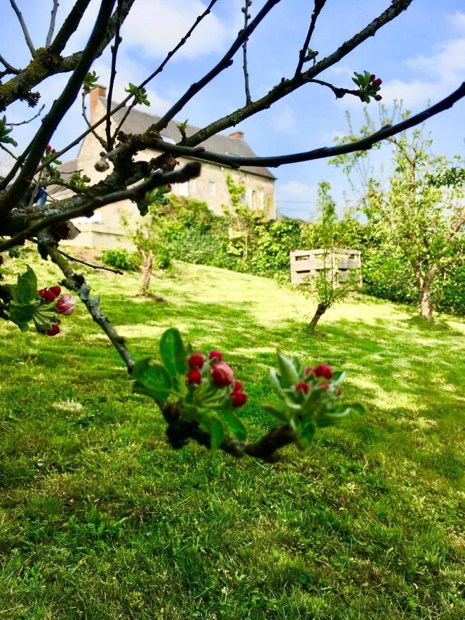 Gite La Petite Beurrerie Des Ardennes Celles  Exterior foto