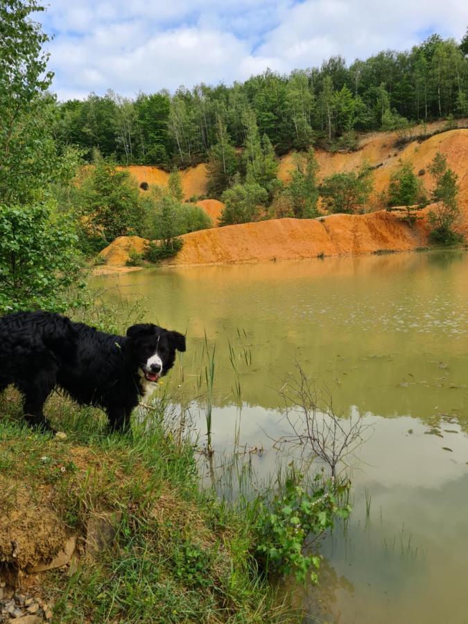 Gite La Petite Beurrerie Des Ardennes Celles  Exterior foto